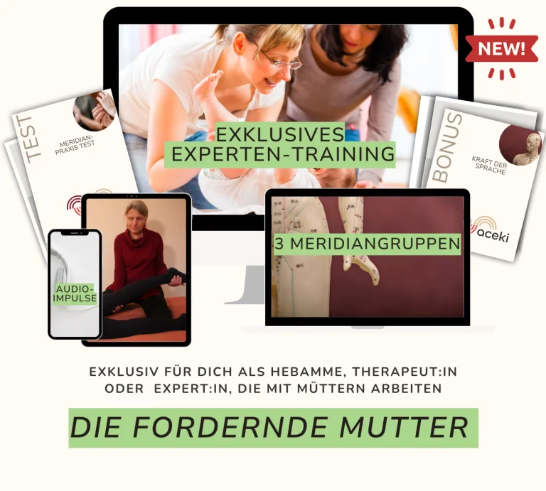 Werbung für ein exklusives Experten-Training und drei Meridiangruppen speziell für hebammen, Therapeutinnen und Expertinnen, die mit Müttern arbeiten. Die Grafik zeigt verschiedene Geräte und Trainingsmaterialien sowie das Programm "Die fordernde Mutter".