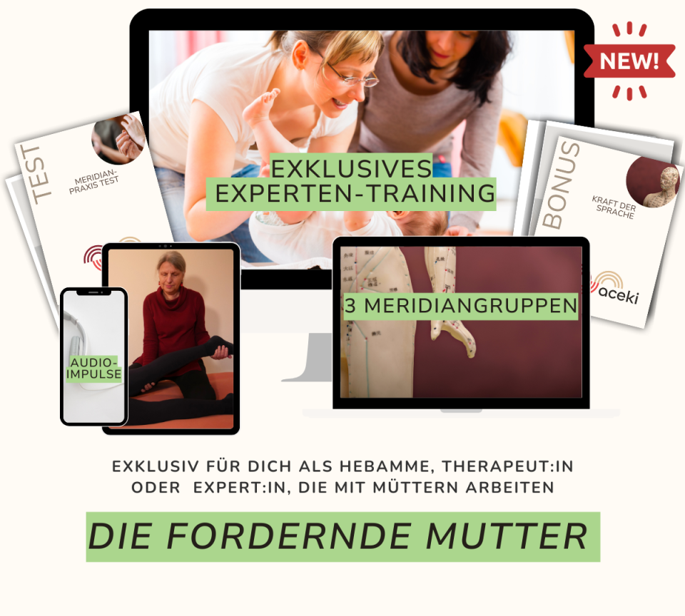 Werbung für ein exklusives Experten-Training und drei Meridiangruppen speziell für hebammen, Therapeutinnen und Expertinnen, die mit Müttern arbeiten. Die Grafik zeigt verschiedene Geräte und Trainingsmaterialien sowie das Programm 