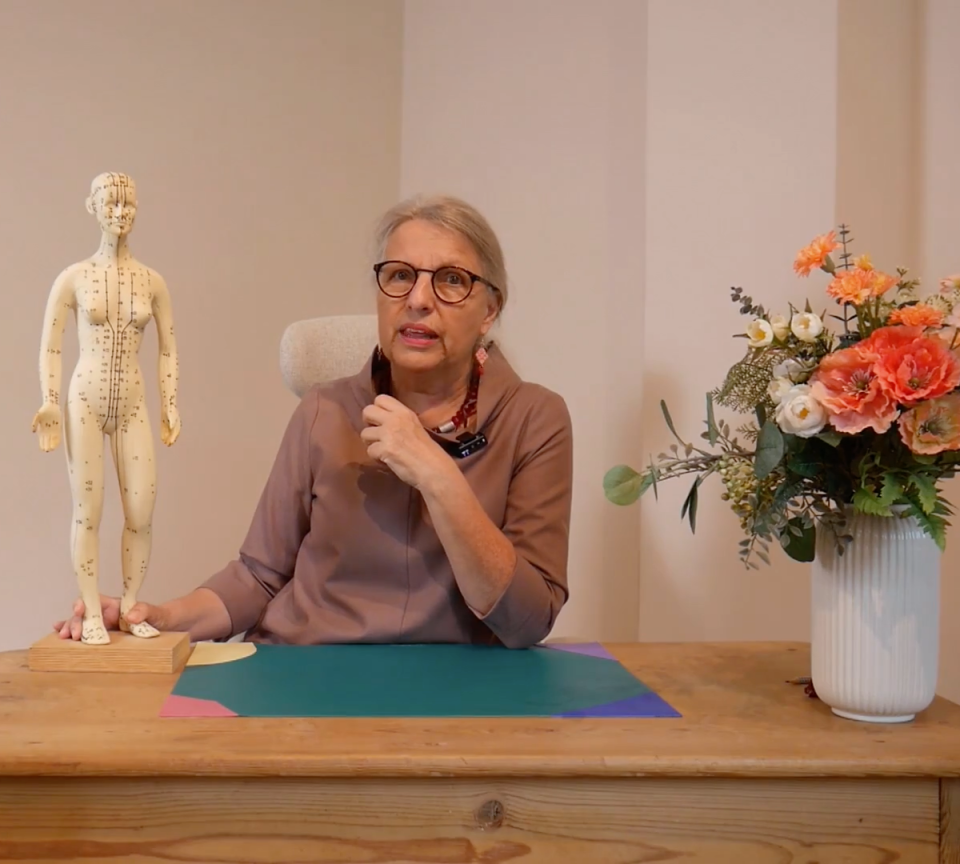 Eine Frau mit Brille sitzt an einem Holztisch und erklärt ein Akupunktur-Meridian-Modell. Auf dem Tisch liegen ein farbiges Tuch und daneben steht ein Strauß mit orange-roten Blumen.