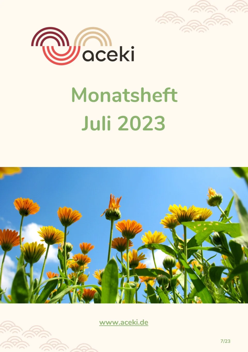 Titelseite des Monatshefts Juli 2023 von aceki e.V. mit dem aceki-Logo oben und einer Wiese mit orangegelben Blüten unter blauem Himmel.