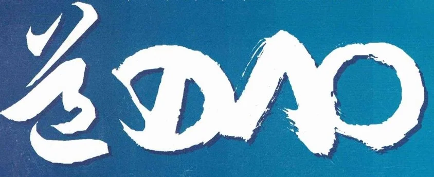 Weiße stilisierte Schriftzeichen und das Wort "DNO" auf blauem Hintergrund, das Logo der aceki e.V. Organisation.